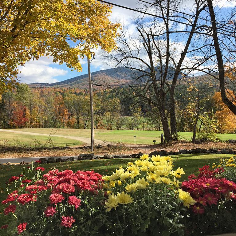 Carter Notch Inn Jackson Ngoại thất bức ảnh